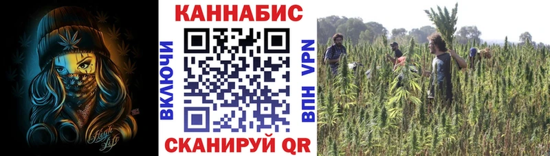 наркота  Зима  Марихуана AK-47 